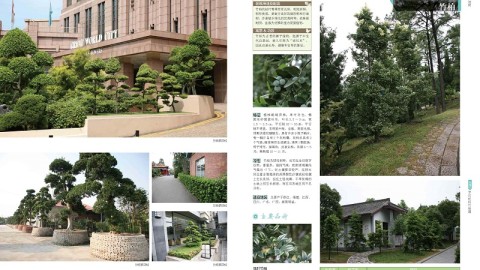 两年经验总结：这样设计景观方案册，落地率提升60%